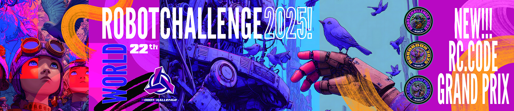 RobotChallenge International